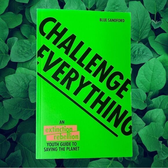 5 for $25🔥Challenge Everything: An Extinction Rebellion - Paperback - Picture 1 of 5